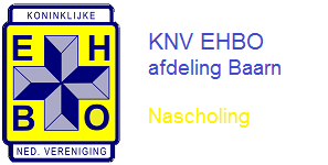 Logo EHBO nascholing